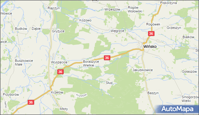 mapa Boraszyce Małe, Boraszyce Małe na mapie Targeo