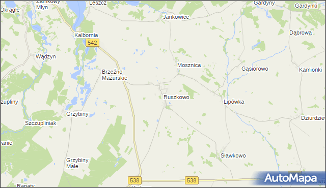 mapa Ruszkowo gmina Działdowo, Ruszkowo gmina Działdowo na mapie Targeo