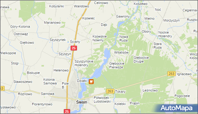 mapa Stanisławowo gmina Ślesin, Stanisławowo gmina Ślesin na mapie Targeo