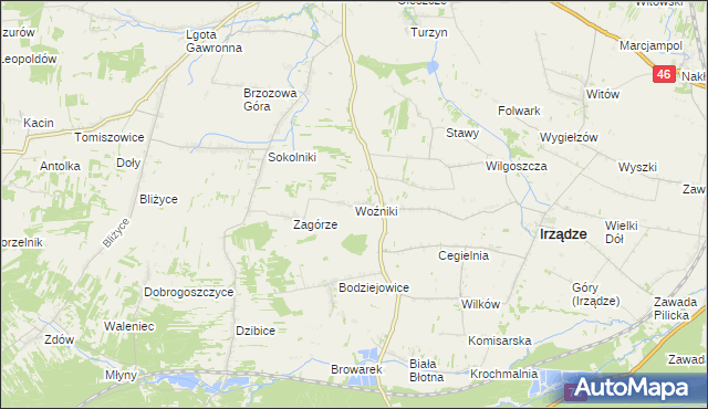 mapa Woźniki gmina Irządze, Woźniki gmina Irządze na mapie Targeo