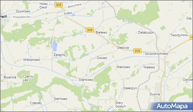 mapa Osowo gmina Gostyń, Osowo gmina Gostyń na mapie Targeo