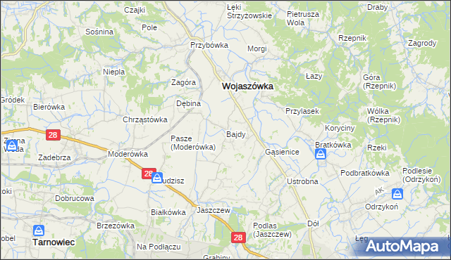 mapa Bajdy gmina Wojaszówka, Bajdy gmina Wojaszówka na mapie Targeo