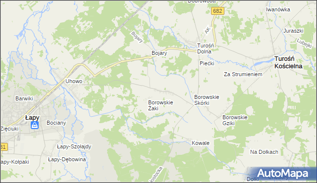 mapa Borowskie Cibory, Borowskie Cibory na mapie Targeo