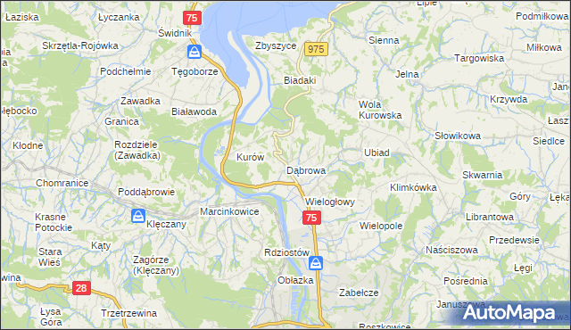 mapa Dąbrowa gmina Chełmiec, Dąbrowa gmina Chełmiec na mapie Targeo