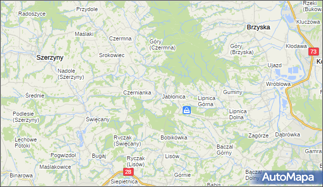 mapa Jabłonica gmina Skołyszyn, Jabłonica gmina Skołyszyn na mapie Targeo