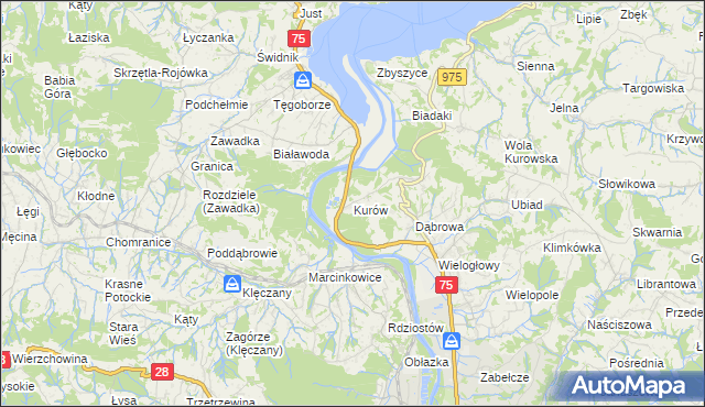 mapa Kurów gmina Chełmiec, Kurów gmina Chełmiec na mapie Targeo