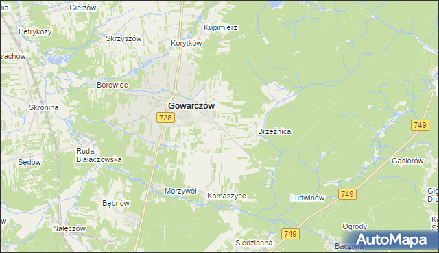 mapa Rogówek gmina Gowarczów, Rogówek gmina Gowarczów na mapie Targeo