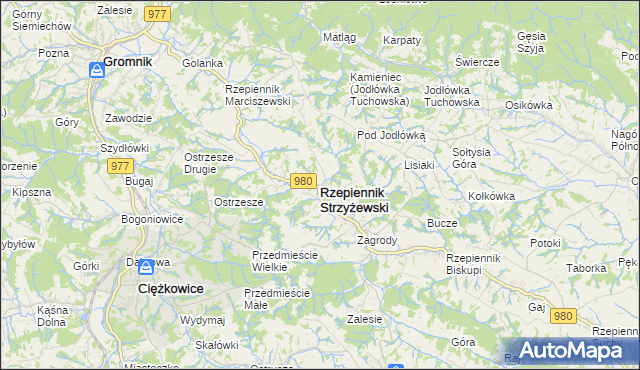 mapa Rzepiennik Strzyżewski, Rzepiennik Strzyżewski na mapie Targeo