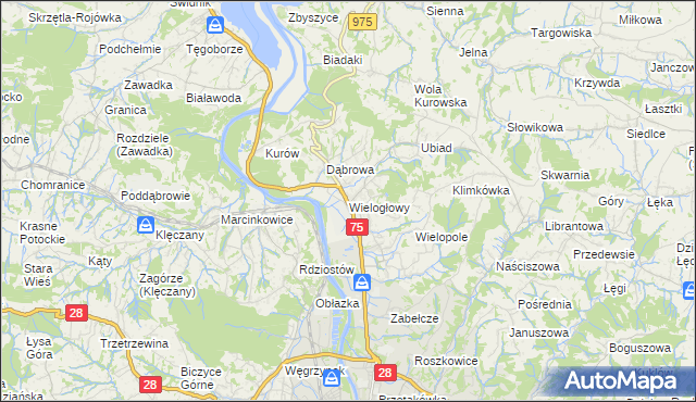 mapa Wielogłowy gmina Chełmiec, Wielogłowy gmina Chełmiec na mapie Targeo