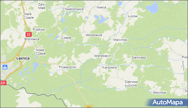 mapa Wierzbięcin gmina Trzebiel, Wierzbięcin gmina Trzebiel na mapie Targeo