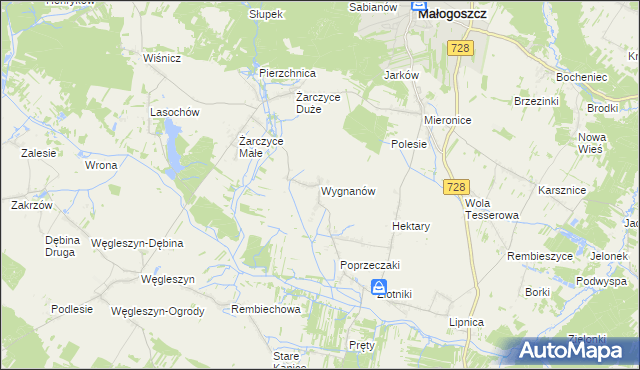 mapa Wygnanów gmina Małogoszcz, Wygnanów gmina Małogoszcz na mapie Targeo