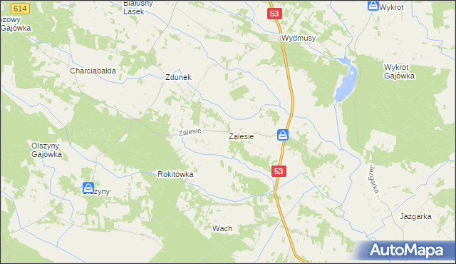 mapa Zalesie gmina Myszyniec, Zalesie gmina Myszyniec na mapie Targeo