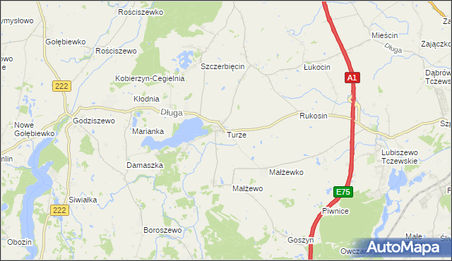 mapa Turze gmina Tczew, Turze gmina Tczew na mapie Targeo