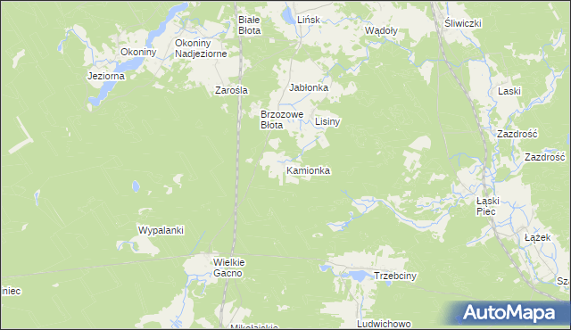 mapa Kamionka gmina Śliwice, Kamionka gmina Śliwice na mapie Targeo