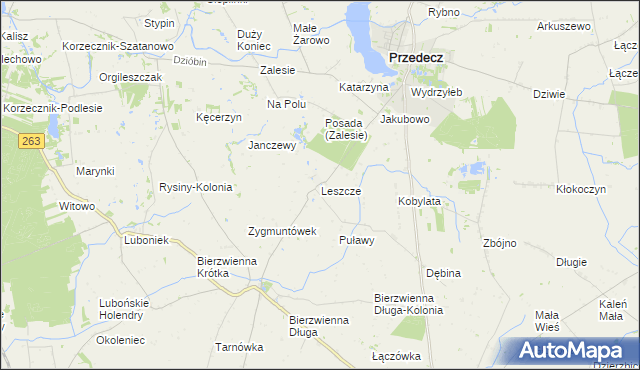 mapa Leszcze gmina Kłodawa, Leszcze gmina Kłodawa na mapie Targeo