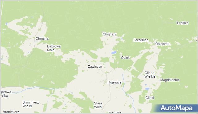 mapa Osiek Wielki gmina Rojewo, Osiek Wielki gmina Rojewo na mapie Targeo