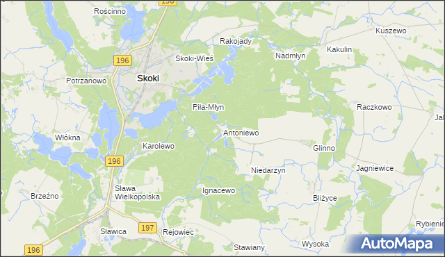 mapa Antoniewo gmina Skoki, Antoniewo gmina Skoki na mapie Targeo