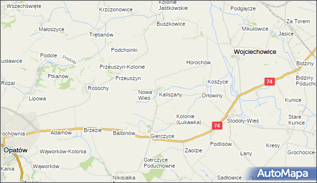 mapa Kaliszany gmina Wojciechowice, Kaliszany gmina Wojciechowice na mapie Targeo