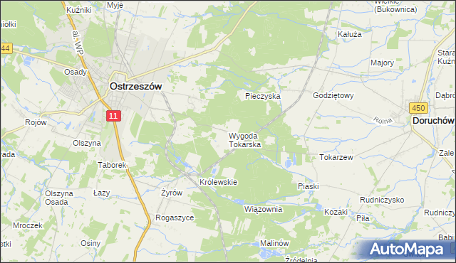 mapa Wygoda Tokarska, Wygoda Tokarska na mapie Targeo