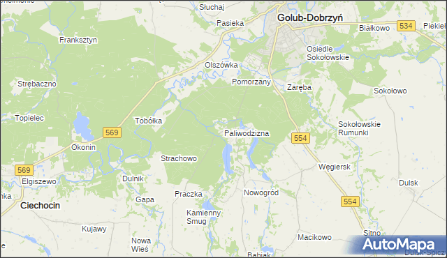 mapa Paliwodzizna, Paliwodzizna na mapie Targeo