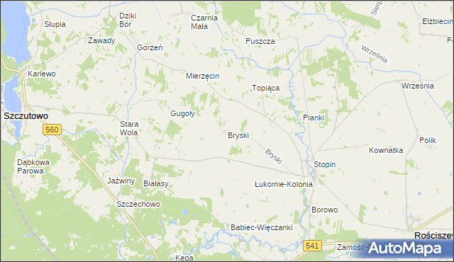 mapa Bryski gmina Rościszewo, Bryski gmina Rościszewo na mapie Targeo