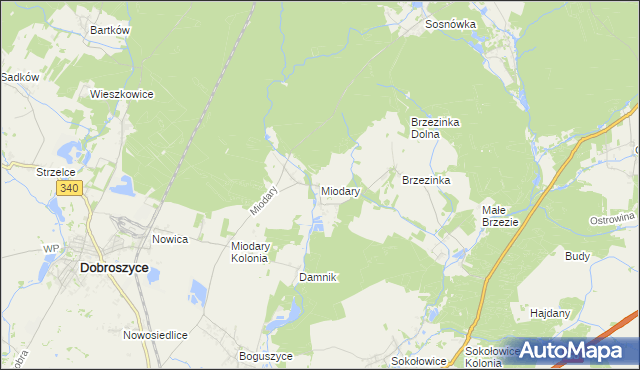 mapa Miodary gmina Dobroszyce, Miodary gmina Dobroszyce na mapie Targeo