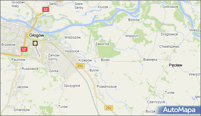 mapa Borek gmina Głogów, Borek gmina Głogów na mapie Targeo