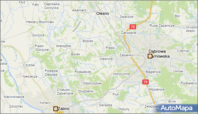 mapa Oleśnica gmina Olesno, Oleśnica gmina Olesno na mapie Targeo