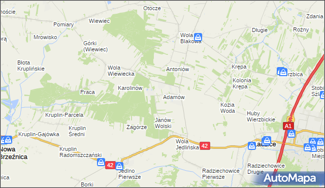 mapa Adamów gmina Ładzice, Adamów gmina Ładzice na mapie Targeo
