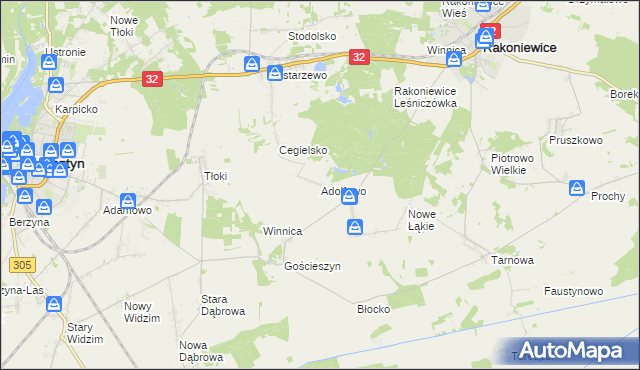 mapa Adolfowo gmina Rakoniewice, Adolfowo gmina Rakoniewice na mapie Targeo