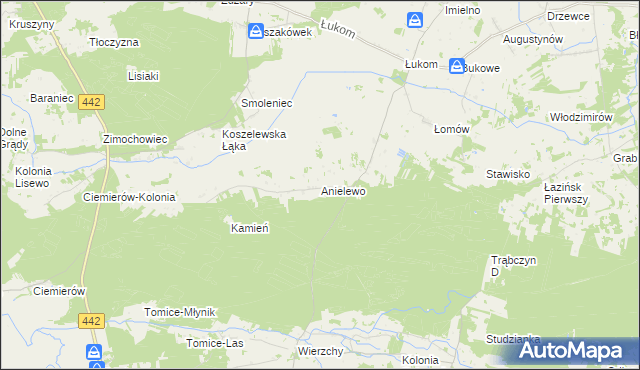 mapa Anielewo gmina Zagórów, Anielewo gmina Zagórów na mapie Targeo