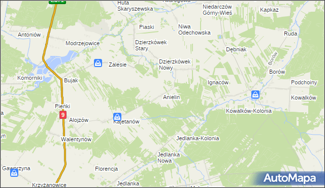 mapa Anielin gmina Skaryszew, Anielin gmina Skaryszew na mapie Targeo