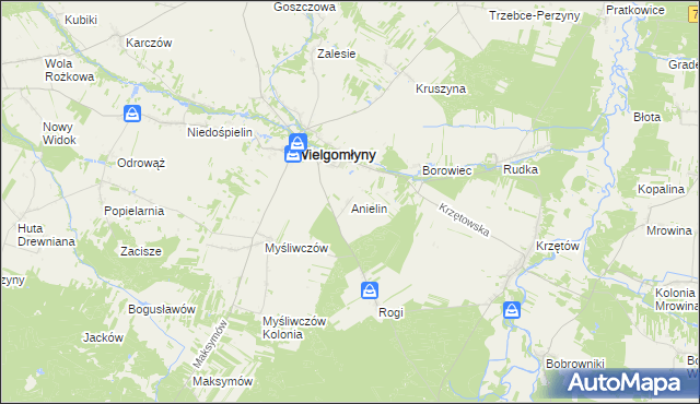 mapa Anielin gmina Wielgomłyny, Anielin gmina Wielgomłyny na mapie Targeo