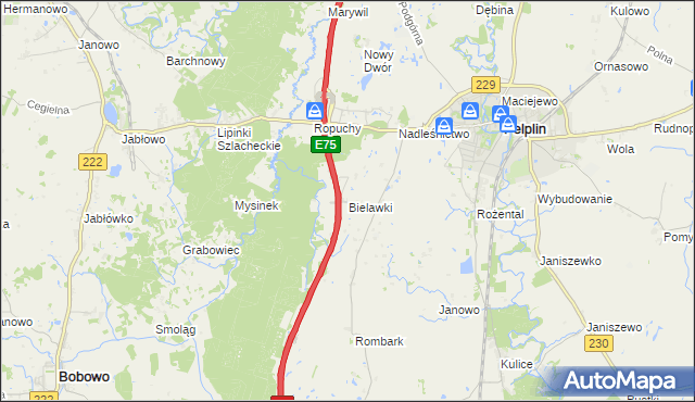 mapa Bielawki gmina Pelplin, Bielawki gmina Pelplin na mapie Targeo