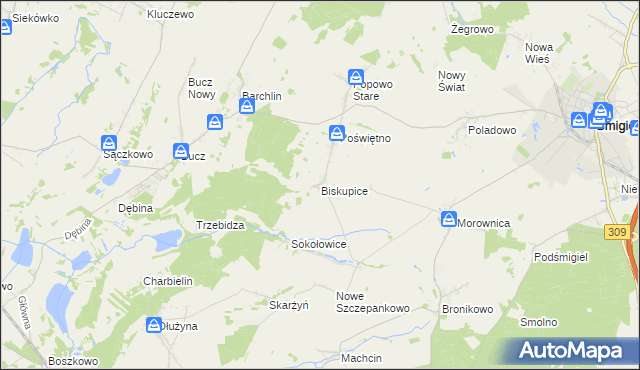 mapa Biskupice gmina Przemęt, Biskupice gmina Przemęt na mapie Targeo