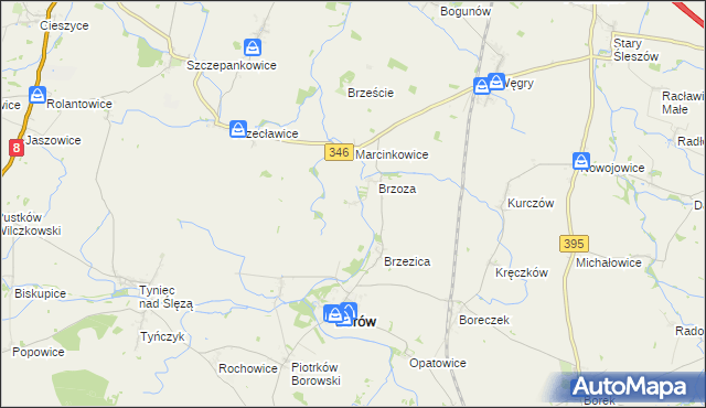 mapa Boguszyce gmina Borów, Boguszyce gmina Borów na mapie Targeo