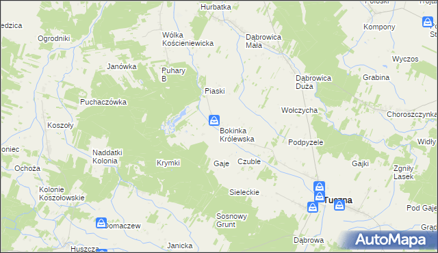 mapa Bokinka Królewska, Bokinka Królewska na mapie Targeo