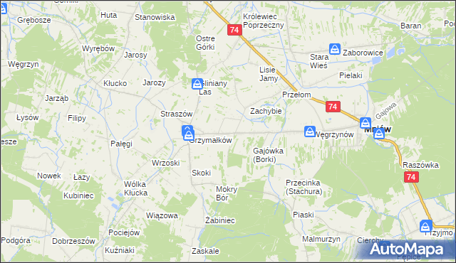 mapa Borki gmina Mniów, Borki gmina Mniów na mapie Targeo