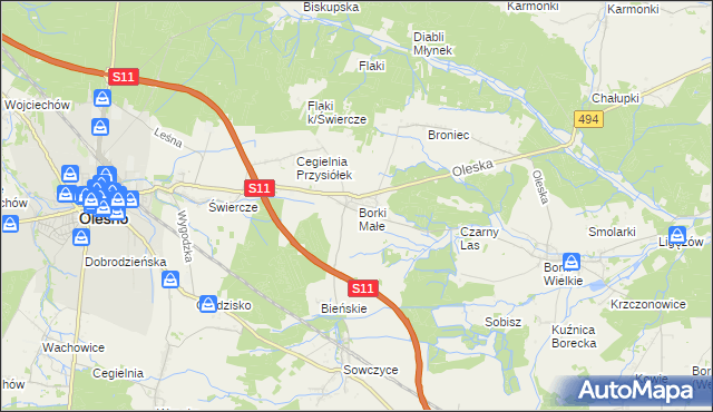 mapa Borki Małe gmina Olesno, Borki Małe gmina Olesno na mapie Targeo