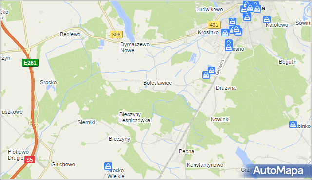 mapa Borkowice gmina Mosina, Borkowice gmina Mosina na mapie Targeo