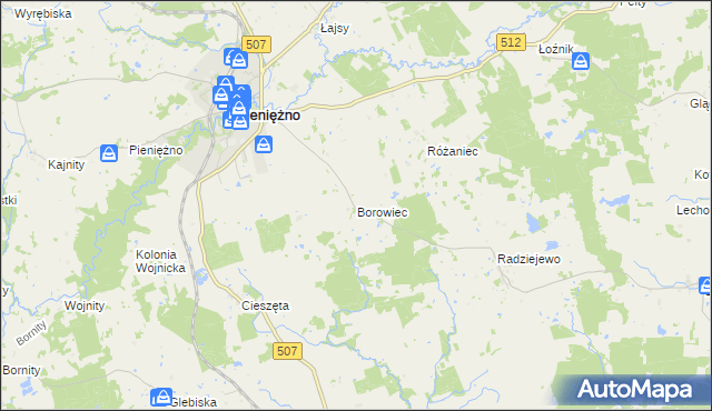 mapa Borowiec gmina Pieniężno, Borowiec gmina Pieniężno na mapie Targeo