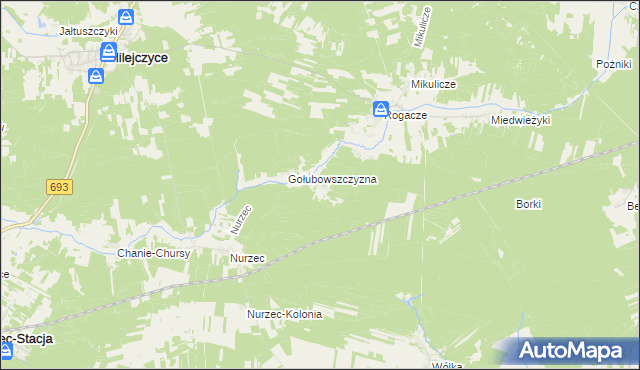 mapa Borowiki, Borowiki na mapie Targeo