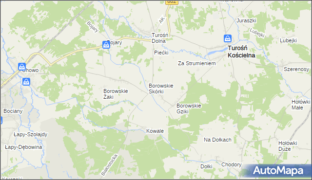 mapa Borowskie Michały, Borowskie Michały na mapie Targeo