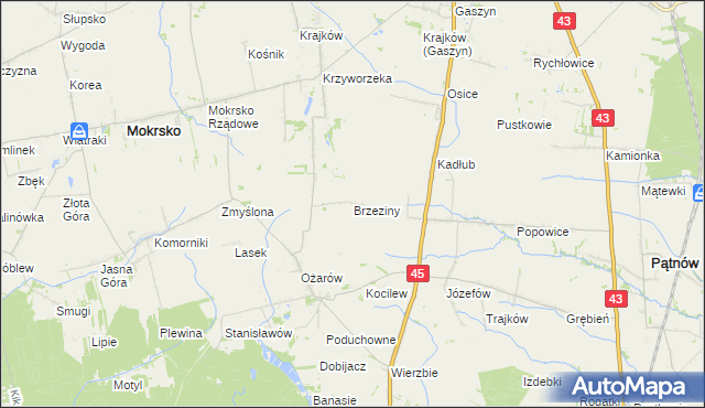 mapa Brzeziny gmina Mokrsko, Brzeziny gmina Mokrsko na mapie Targeo