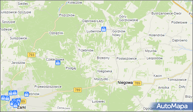 mapa Brzeziny gmina Niegowa, Brzeziny gmina Niegowa na mapie Targeo