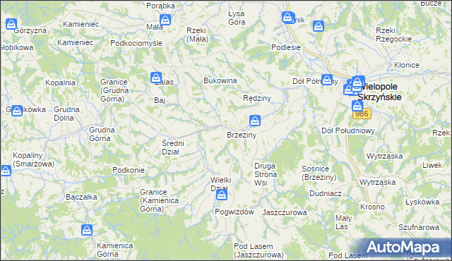 mapa Brzeziny gmina Wielopole Skrzyńskie, Brzeziny gmina Wielopole Skrzyńskie na mapie Targeo