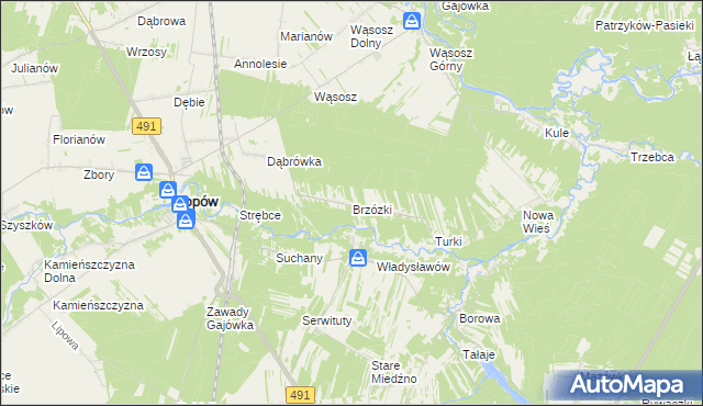 mapa Brzózki gmina Popów, Brzózki gmina Popów na mapie Targeo