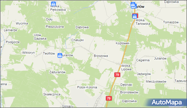 mapa Brzozowa gmina Tarłów, Brzozowa gmina Tarłów na mapie Targeo