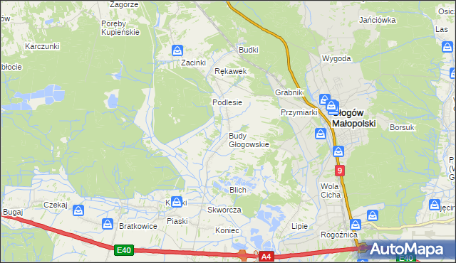 mapa Budy Głogowskie, Budy Głogowskie na mapie Targeo