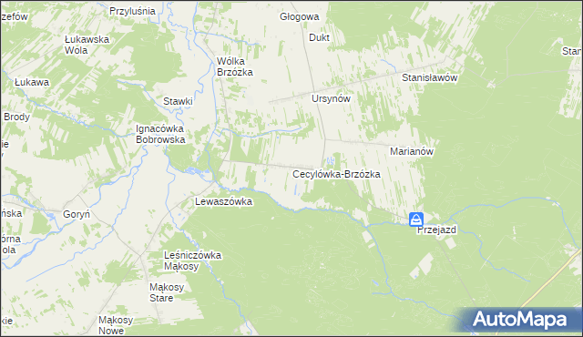 mapa Cecylówka-Brzózka, Cecylówka-Brzózka na mapie Targeo